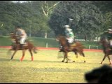 The royal sport - Horse Polo