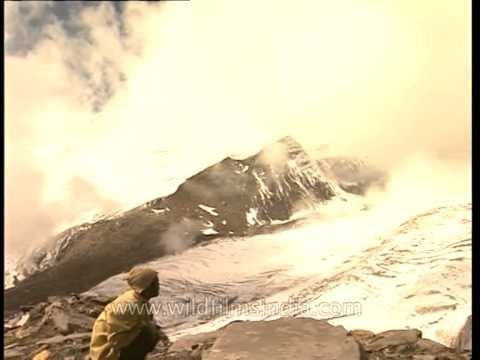 Glacier below Gangotri peaks, as seen from near summit of Rudragaira