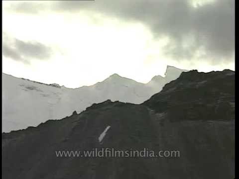 Jogin peaks and the Gangotri wall