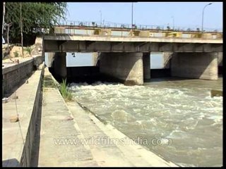 Yamuna river flowing below Okhla embankment