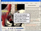 3D Human Anatomy: Interactive Spine Software for Chiropractors