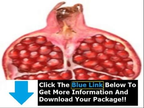 Joe Barton Kidney Stone Remedy Ingredients + Kidney Stone Treatment For Men