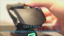 Razer Gaming Mouse Giveaway (OPEN 2013)