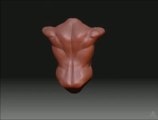 Human Anatomy Sculpting Session 01
