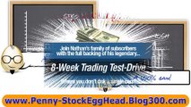 THE PENNY STOCK EGGHEAD REVIEWS - Does it Work? The Shocking Truth