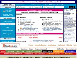 Top European B2B Websites
