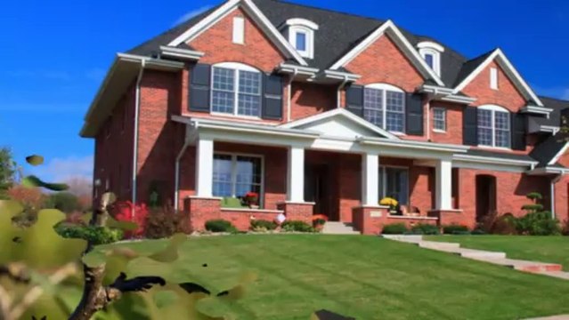 Tree Services & Lawn Care Appleton & Neenah WI