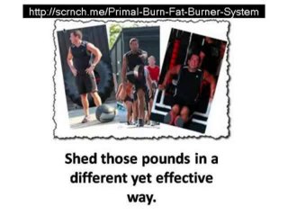 Primal Burn Fat Burner System International