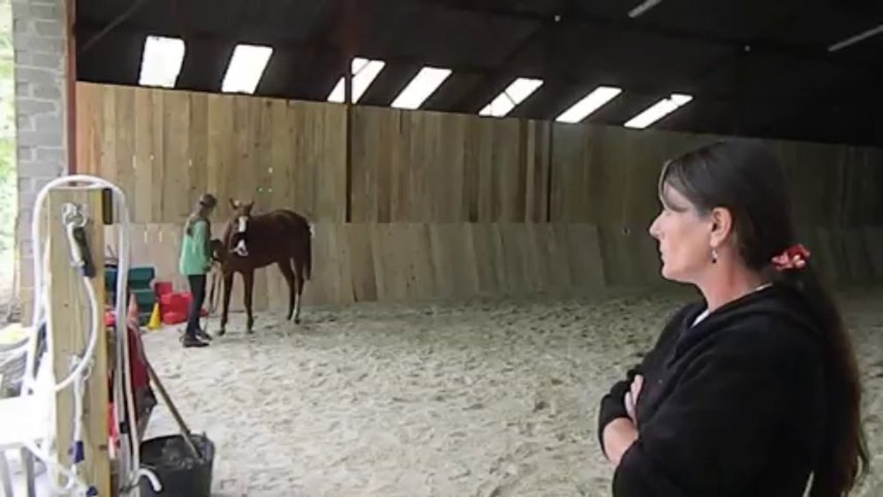 L'ECURIE DE LYLY, PARADIS POUR CHEVAUX