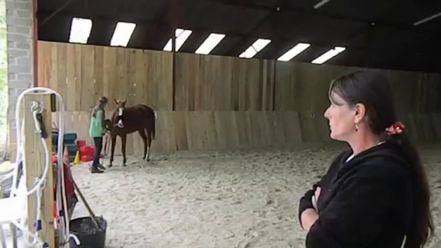 L'ECURIE DE LYLY, PARADIS POUR CHEVAUX