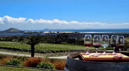 san francisco airport limo