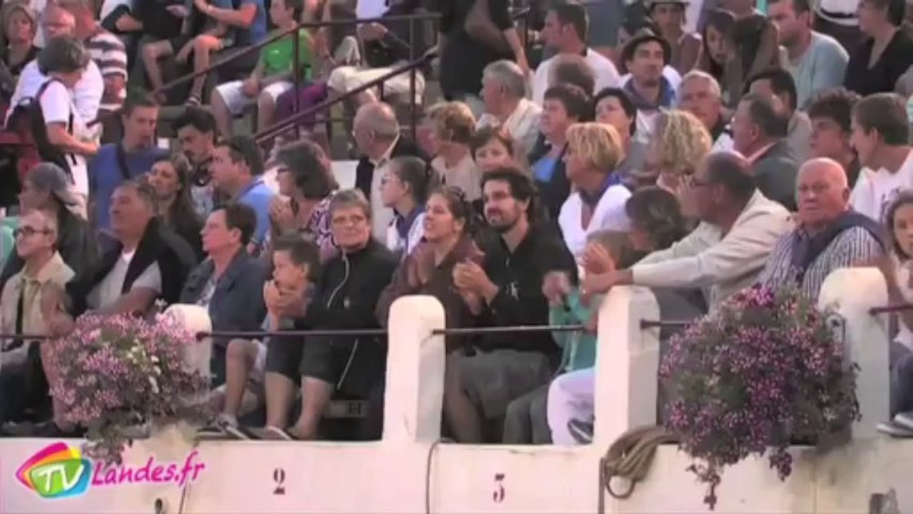 Course landaise à Soustons