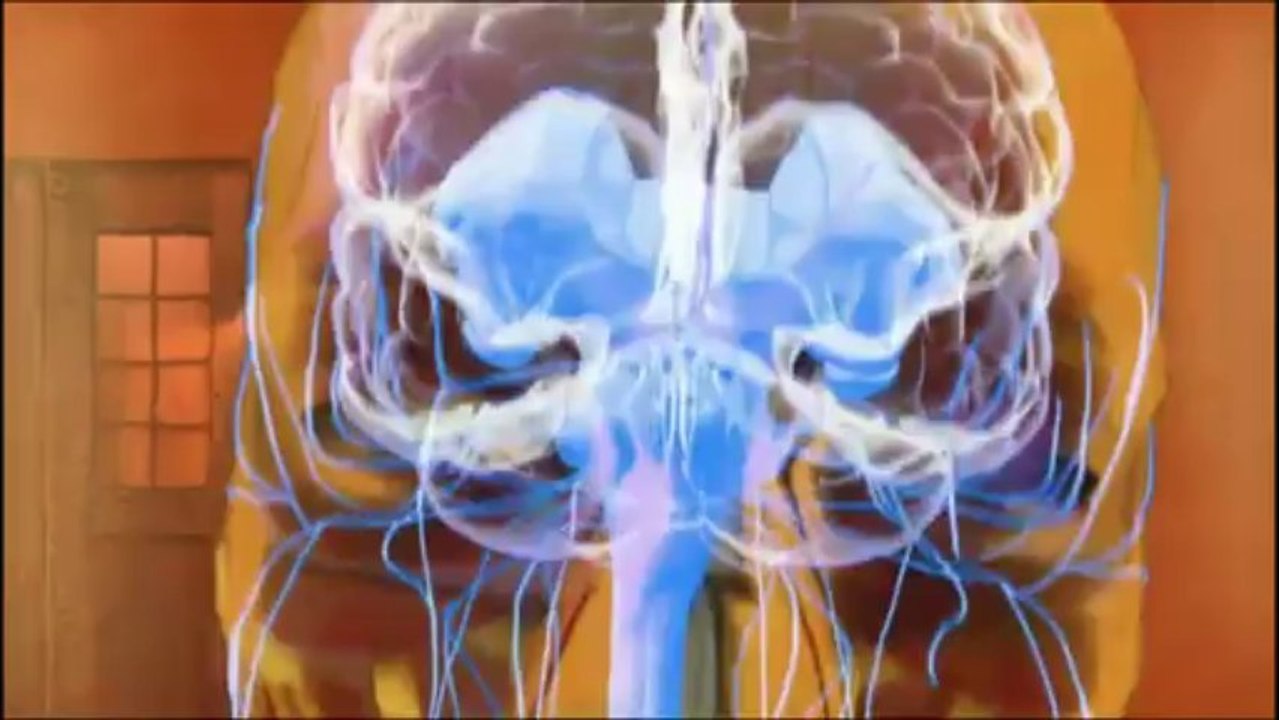 Science du combat - Les Forces spéciales