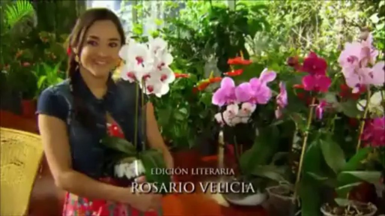 Victoria y Arriaga capitulo 54