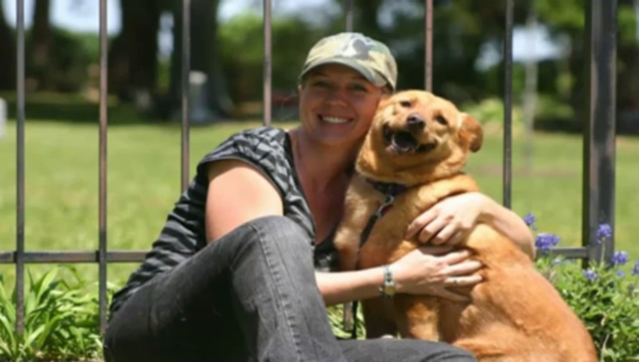 Dog Obedience Dallas - The Online Dog Trainer