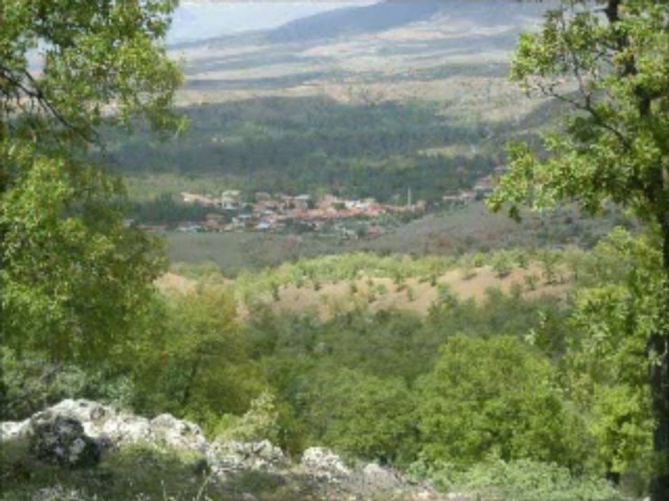 hisarardı