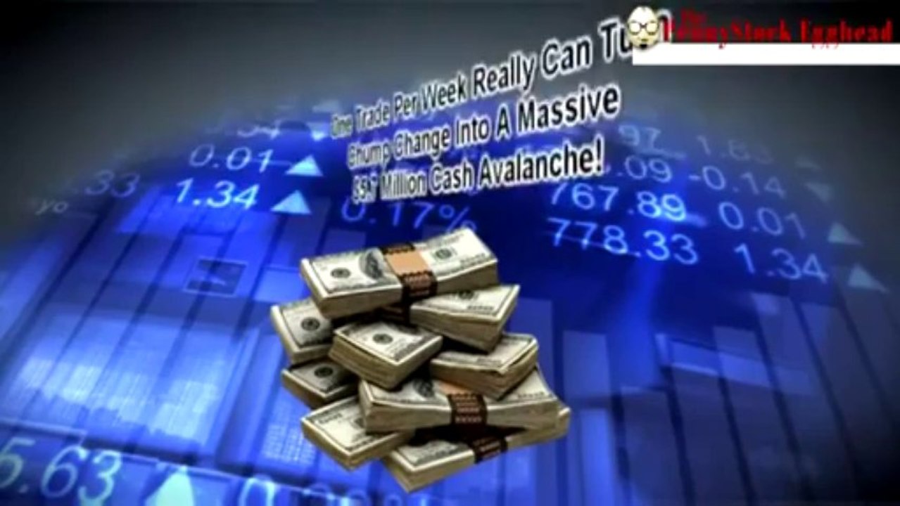 The Penny Stock Egghead