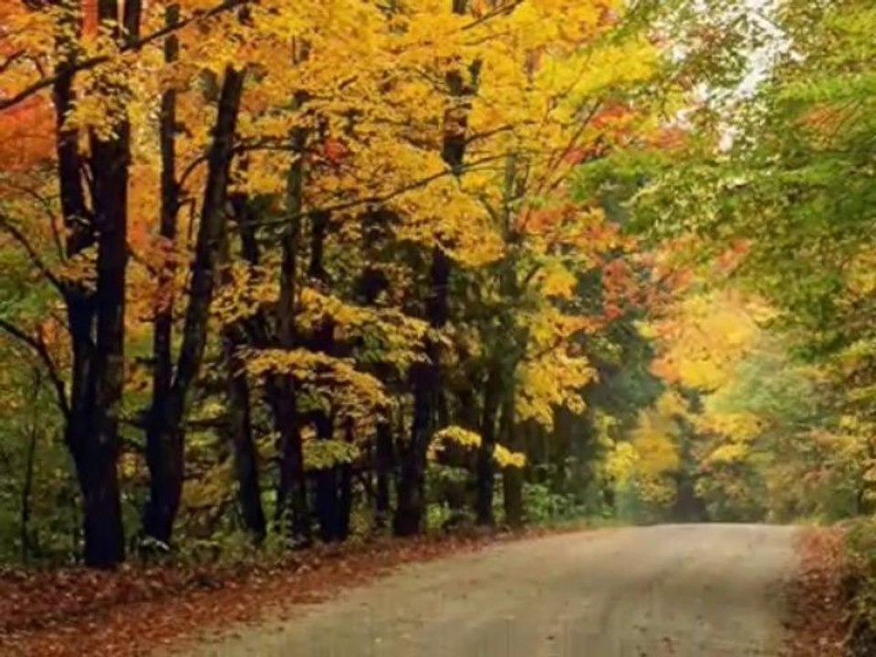 BİR EYLÜL YORGUNU YÜREĞİM