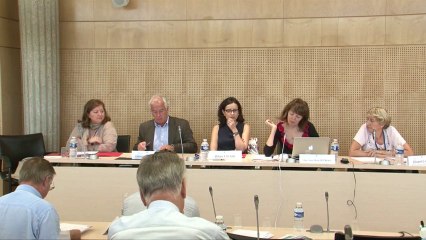 Table ronde sur la formation professionnelle et continue - cese