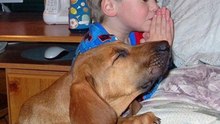 Richard Carpenter - Bless The Beast And Children