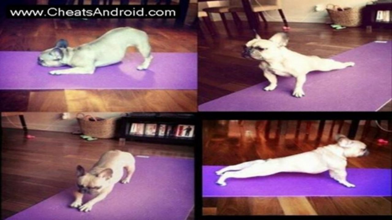 Yogify Hack Free Download PC Game Full Version