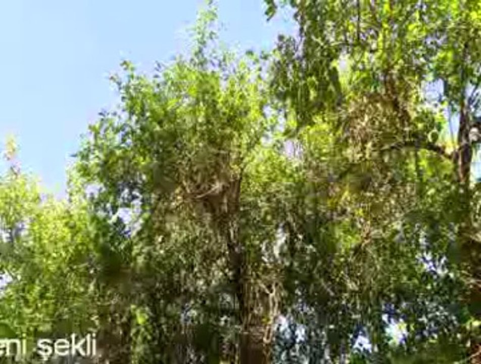 SİVEREK'TE PARKLAR HALKA AÇILIYOR