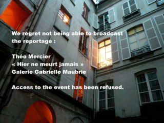 Galerie Gabrielle Maubrie / Théo Mercier / Hier ne meurt jamais