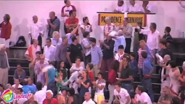 Novillada des Férias de Dax .