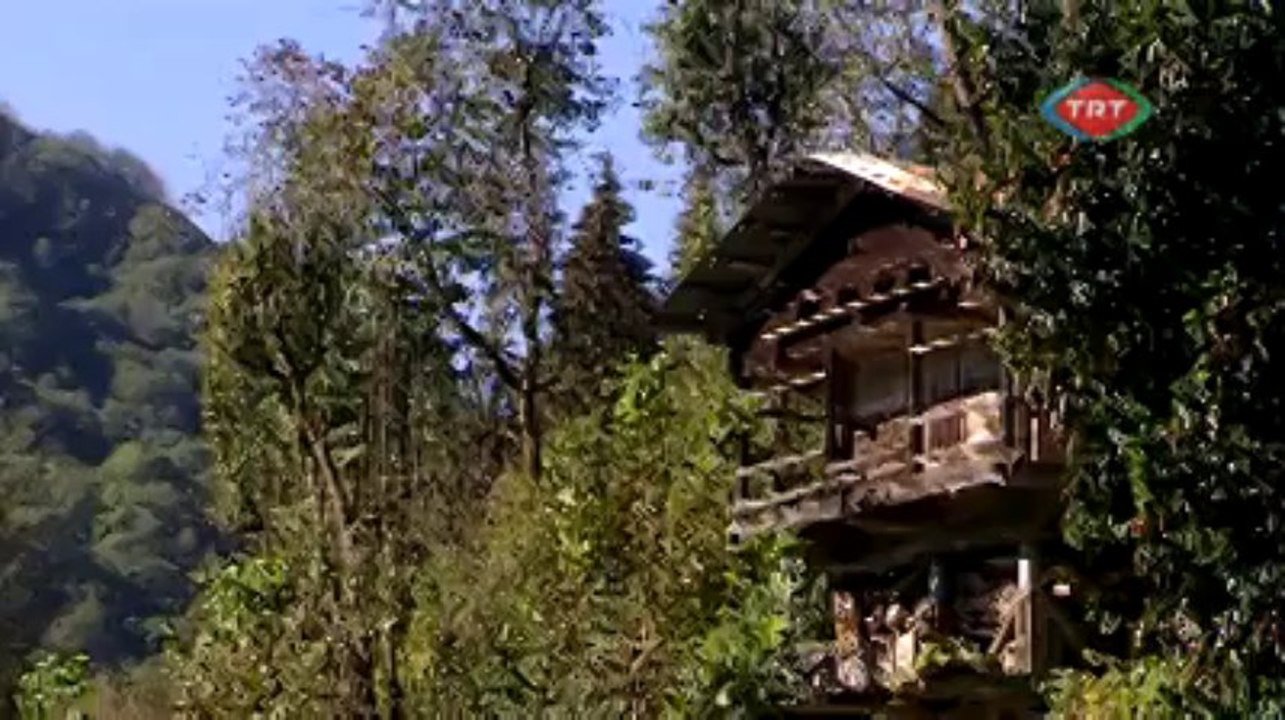 ÇAMLIHEMŞİN TANITIM