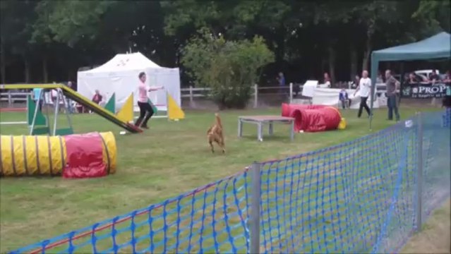 Bullit Concours de Saint Nazaire 2013-09-29