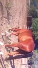 Petit tour des lieux