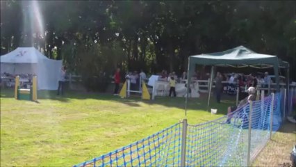Magic Concours de Saint Nazaire 2013-09-29