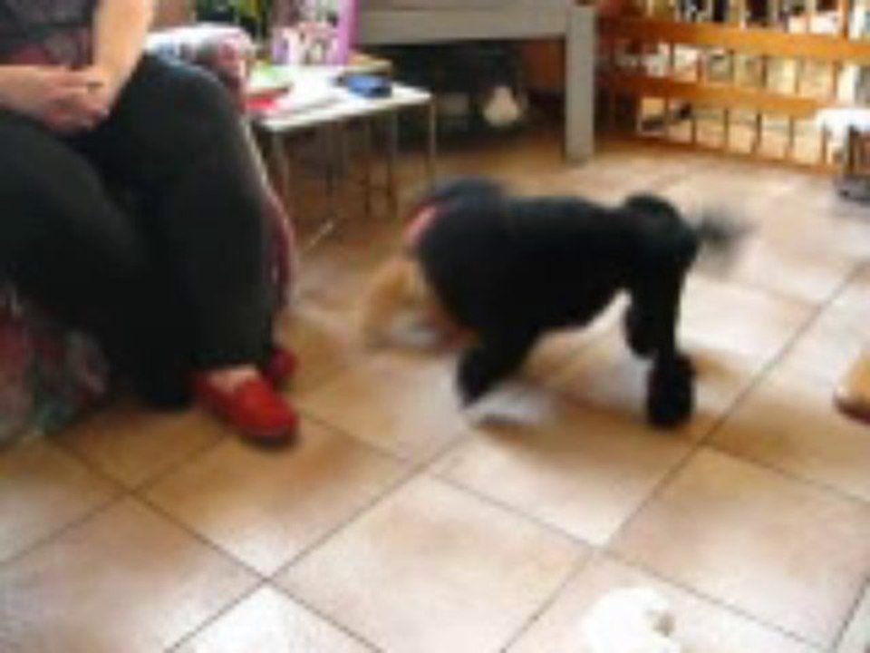 visite de mes copines a la maison