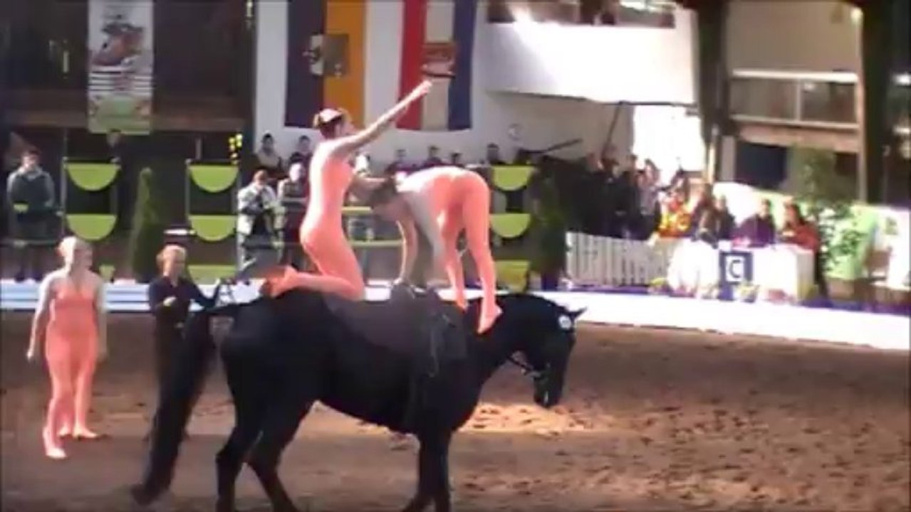 Ndm 2013 m**-team timeloh hof finalkür