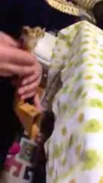 Rize Çamlıhemşin TULUM