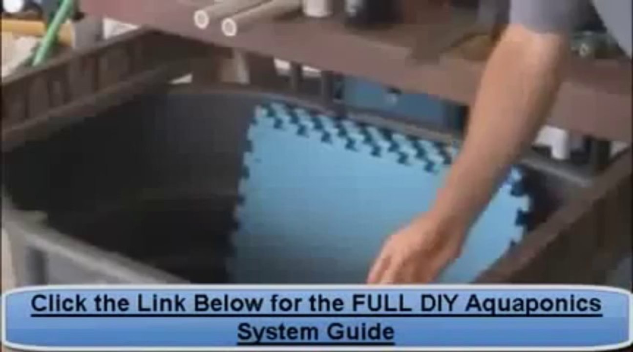 Aquaponics 4 you REVIEW  Organic vegetable gardening   YouTube