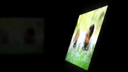 How Do I Get Him Back | Plan To Bring Your Man Back