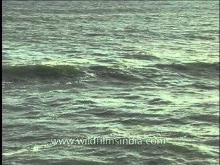 Serene sea : at Kanyakumari