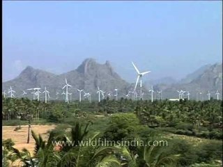 Wind Tribunes near Kanyakumari