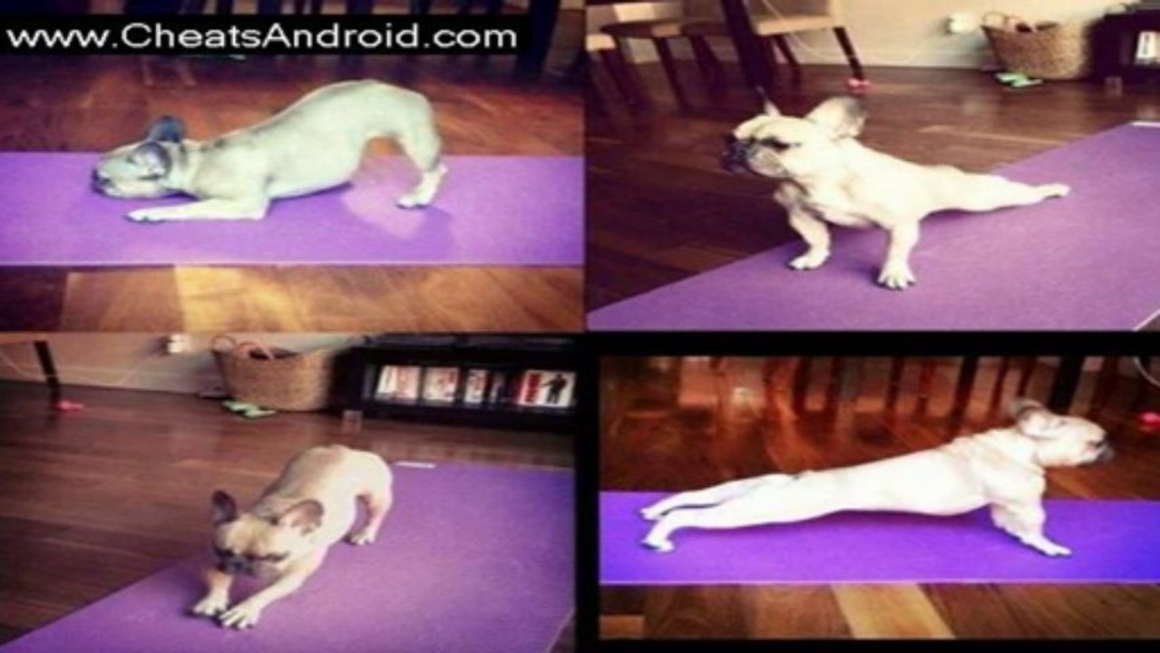 Yogify Hack All Versions Supported Working 100% HD