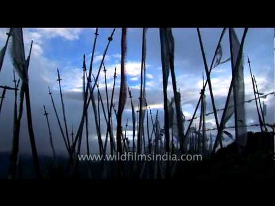 Bhutan - prayer flags in the Himalayas