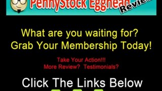 Straightforward Ever So Penny Stock Egghead Review