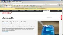 SALEHOO.com ebayセラーの仕入先！卸のマッチングサイト「輸入ビジネス」