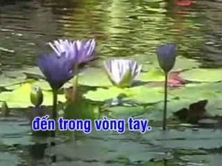 Em chờ anh trở lại - Tuấn Vũ