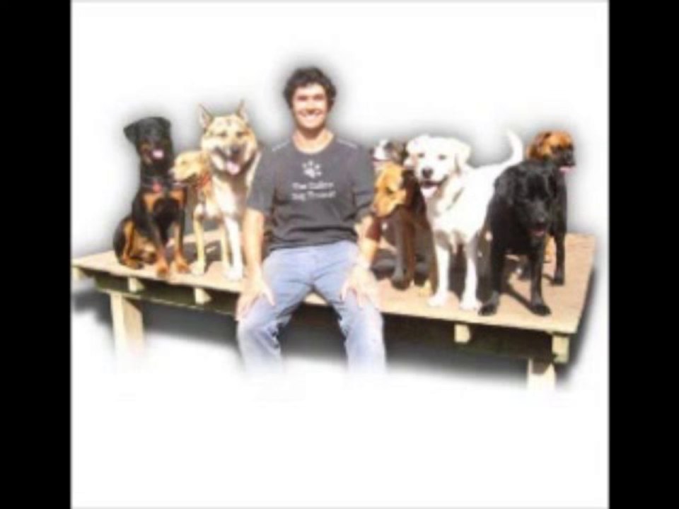 The Online Dog Trainer.