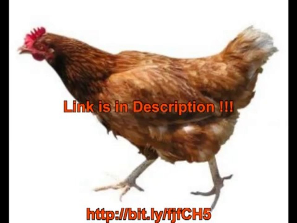 Introducing "Building A Chicken Coop"...