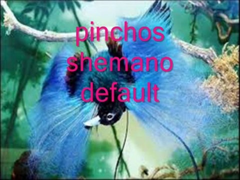 pinchos shemano hiking