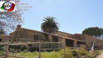 Agrigento - La Dia sequestra beni a Cottitto (30.09.13)