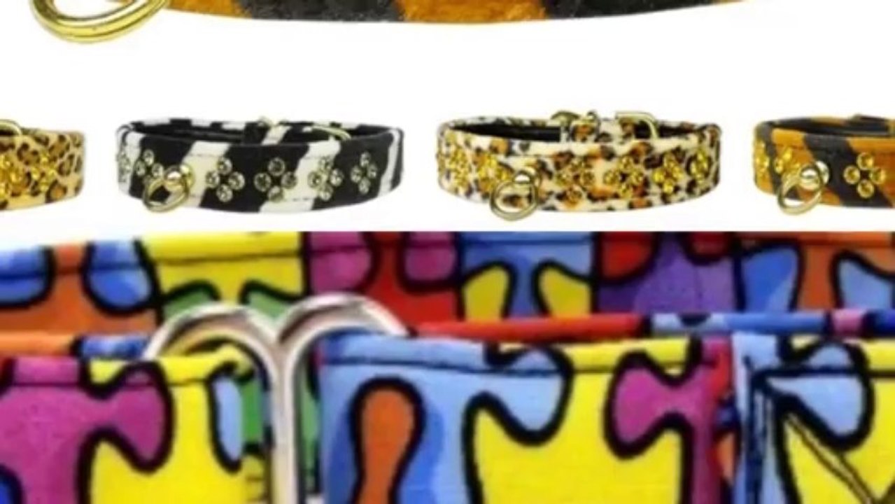 Spiked Dog Collars