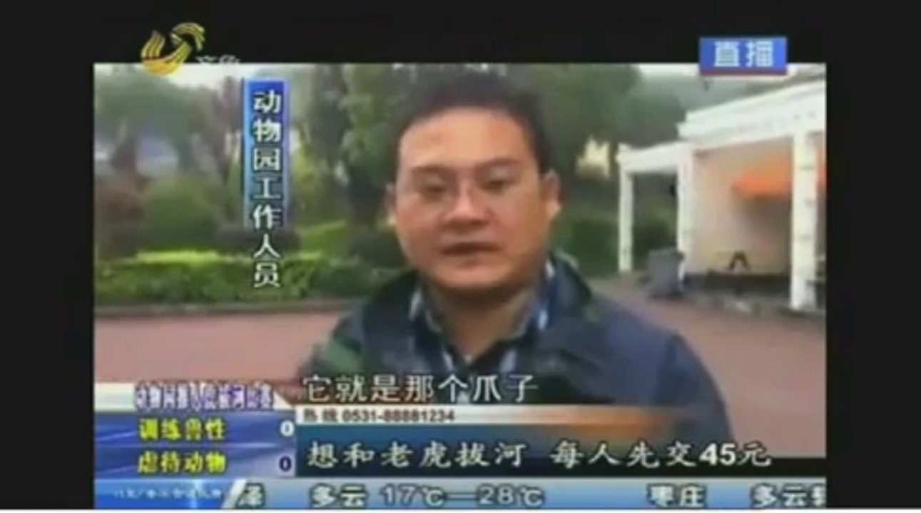 Chinese TIGER
